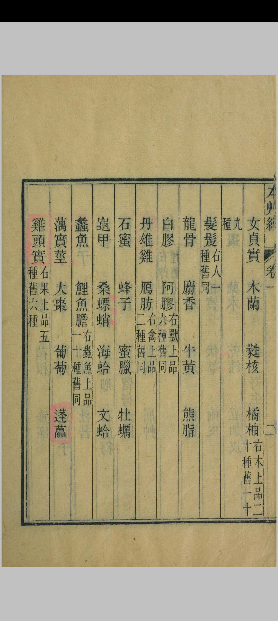 图片[5]中华古籍网-专注古书收集神农本草经中华古籍网-专注古书收集中华古籍网