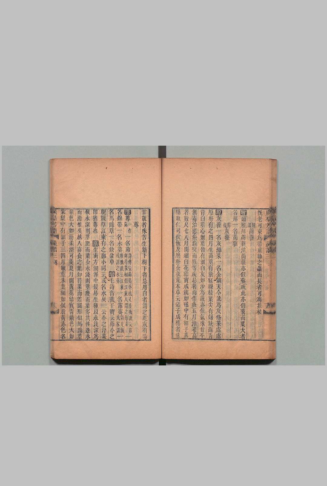 图片[6]中华古籍网-专注古书收集佩文斋广群芳谱 100卷目２卷 汪灏,清同治7年中华古籍网-专注古书收集中华古籍网