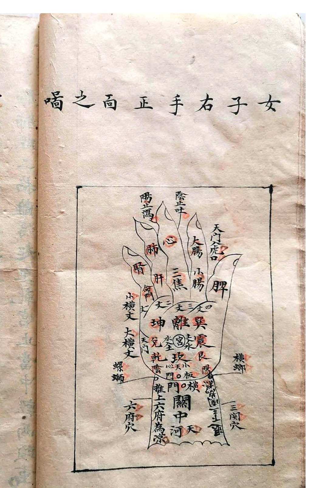 图片[12]-中华古籍网-专注古书收集《祖传小儿科神火经纹秘诀》-中华古籍网-专注古书收集中华古籍网-专注古书收集