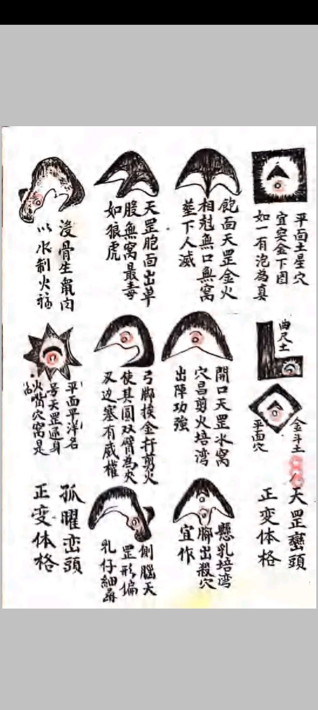 图片[17]-中华古籍网-专注古书收集杨曾心传峦头真诀-中华古籍网-专注古书收集中华古籍网-专注古书收集