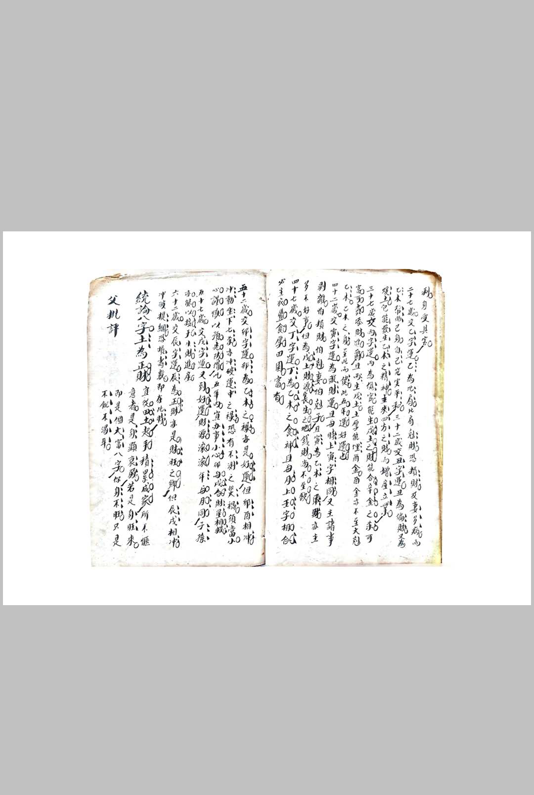 图片[19]-中华古籍网-专注古书收集八字本-中华古籍网-专注古书收集中华古籍网-专注古书收集