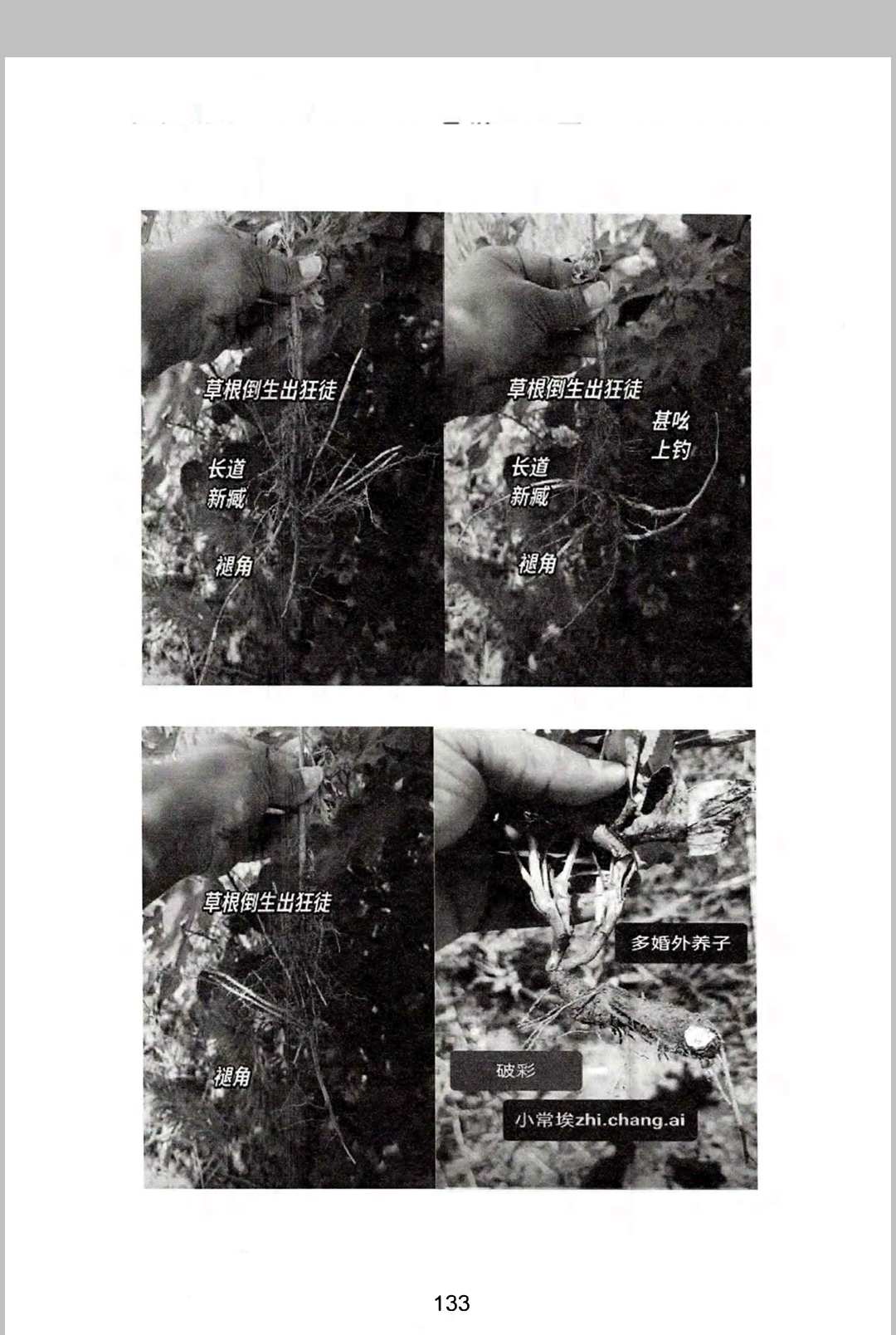 图片[17]中华古籍网-专注古书收集《燕门混元地理》中华古籍网-专注古书收集中华古籍网