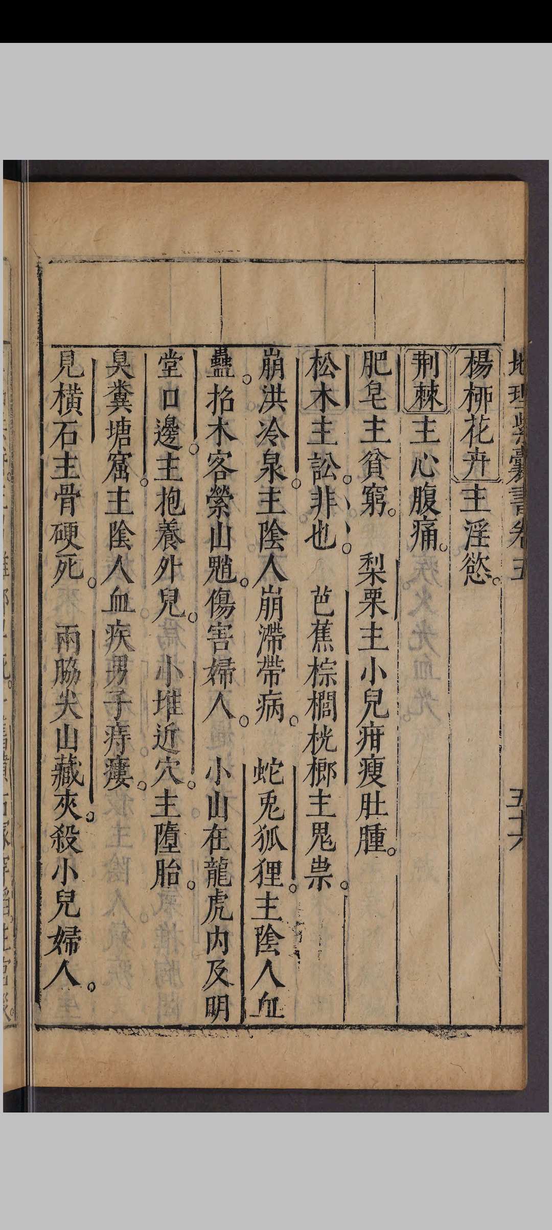 图片[14]中华古籍网-专注古书收集新刊地理紫囊书.八卷.赵祜.明万历间中华古籍网-专注古书收集中华古籍网