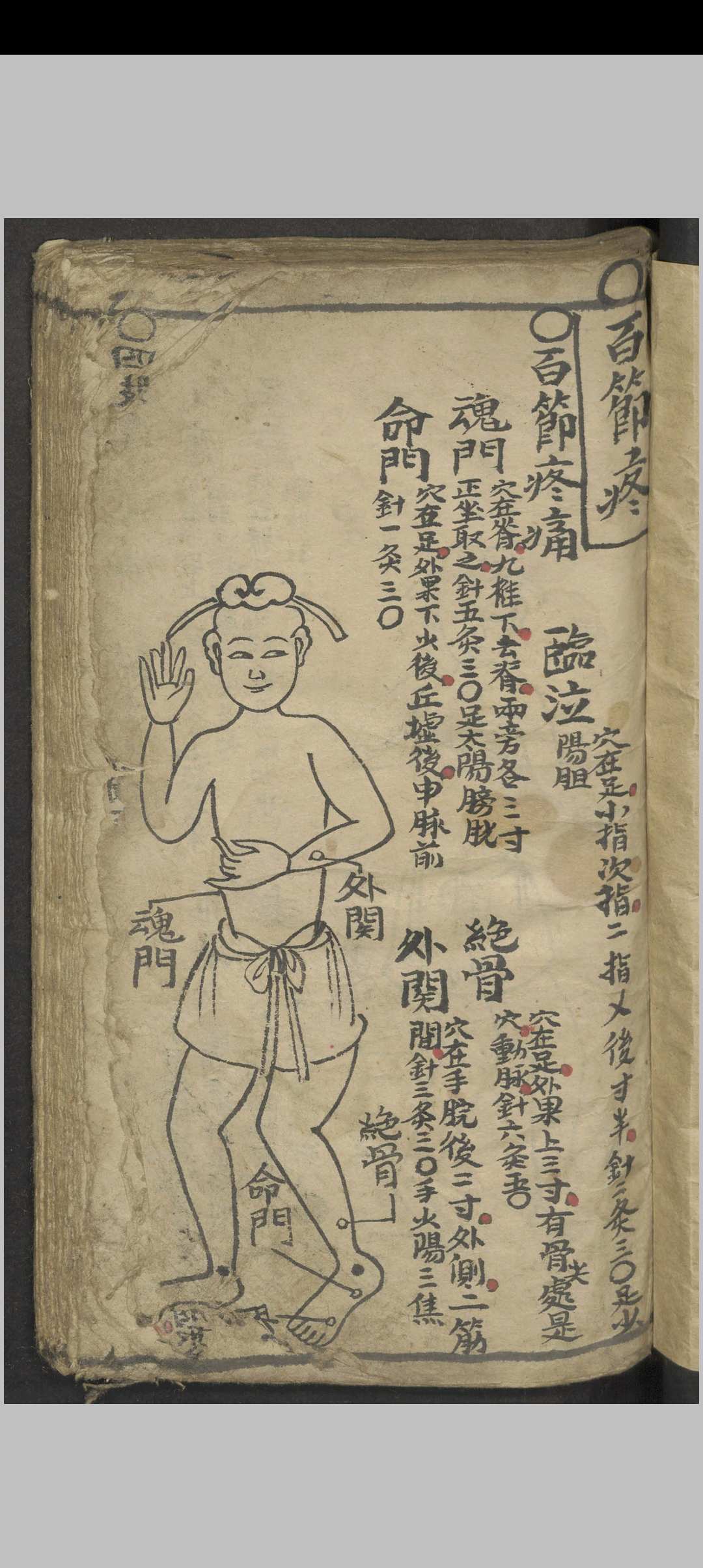 绘图手抄医书 , 1900-中华古籍网-专注古书收集中华古籍网-专注古书收集