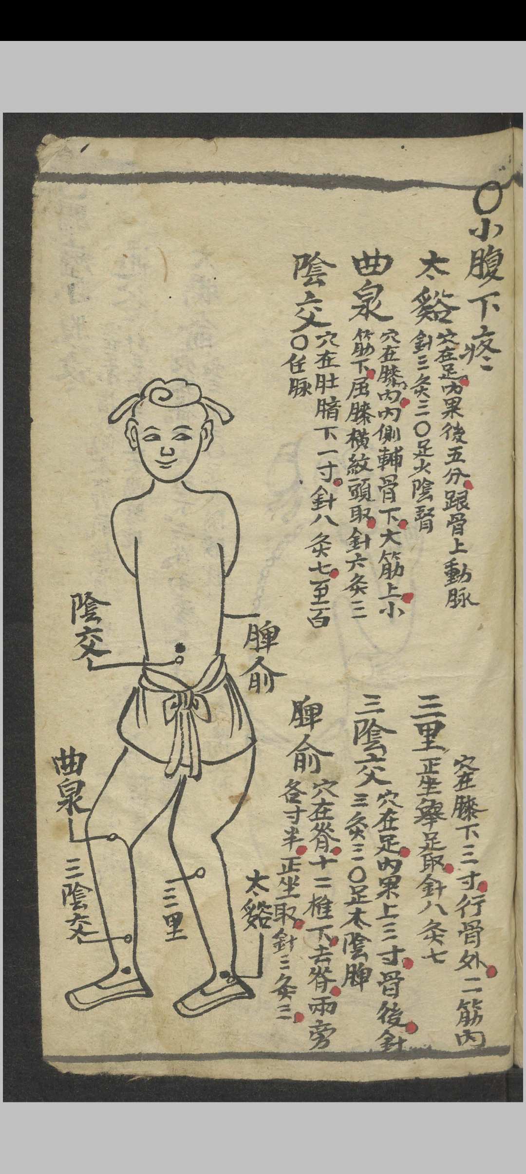 图片[16]-中华古籍网-专注古书收集绘图手抄医书 , 1900-中华古籍网-专注古书收集中华古籍网-专注古书收集