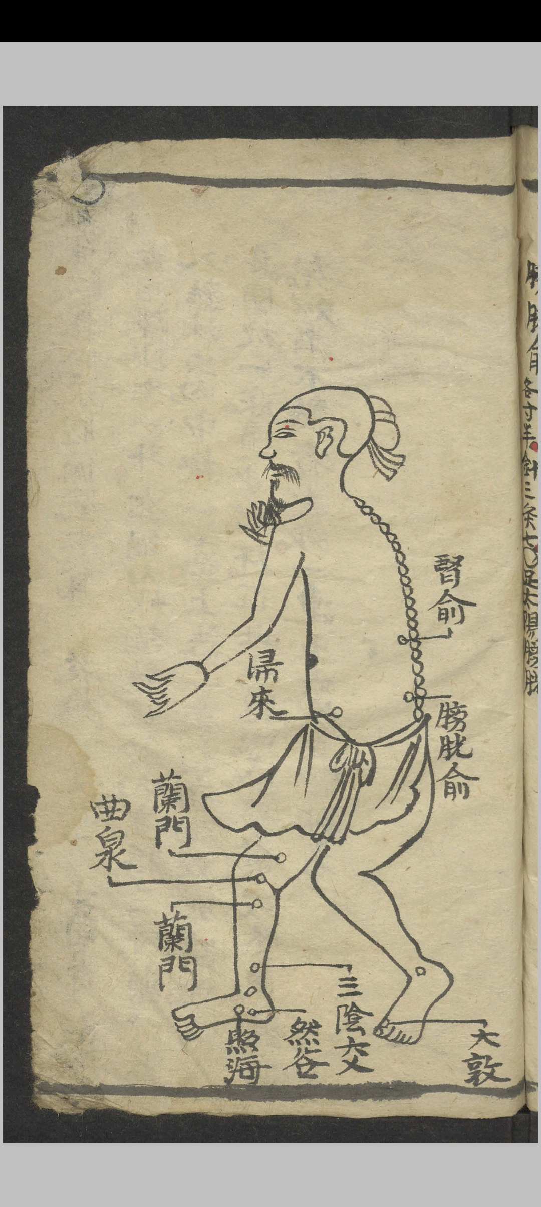 图片[18]-中华古籍网-专注古书收集绘图手抄医书 , 1900-中华古籍网-专注古书收集中华古籍网-专注古书收集