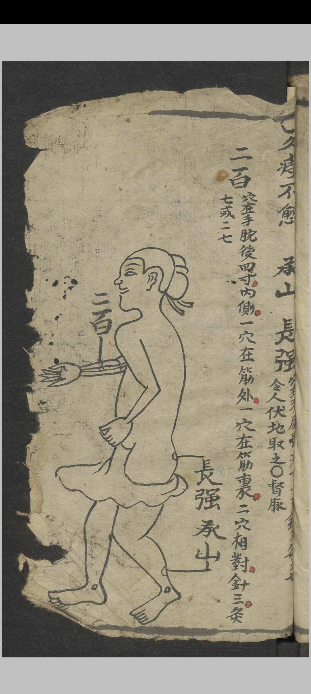 图片[19]-中华古籍网-专注古书收集绘图手抄医书 , 1900-中华古籍网-专注古书收集中华古籍网-专注古书收集