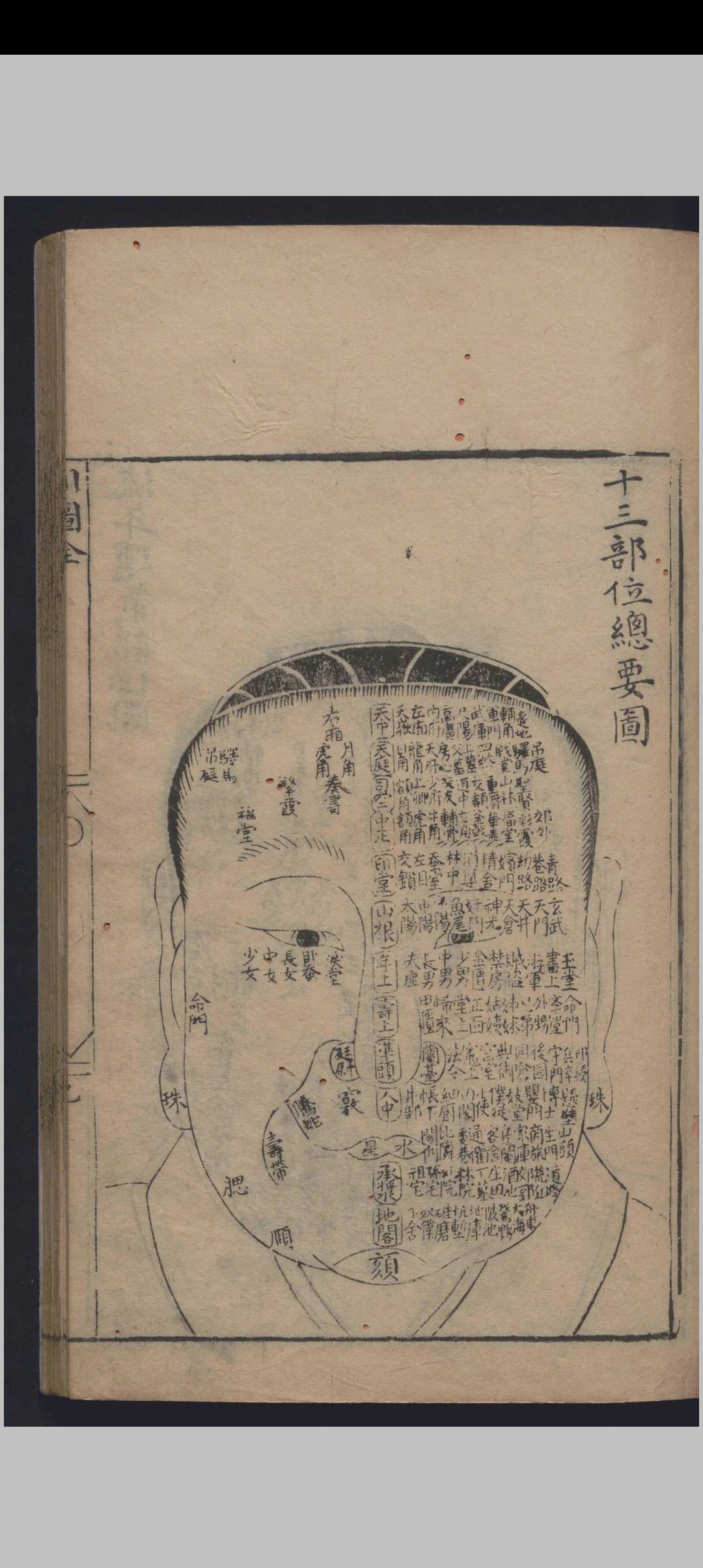 图片[2]中华古籍网-专注古书收集麻衣相中华古籍网-专注古书收集中华古籍网