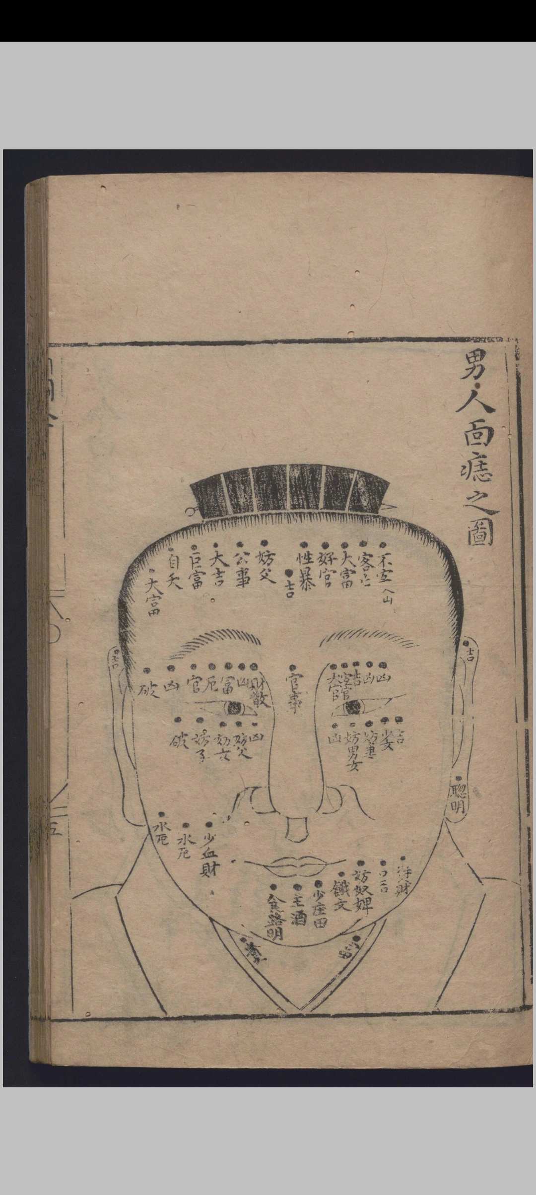 图片[7]中华古籍网-专注古书收集麻衣相中华古籍网-专注古书收集中华古籍网