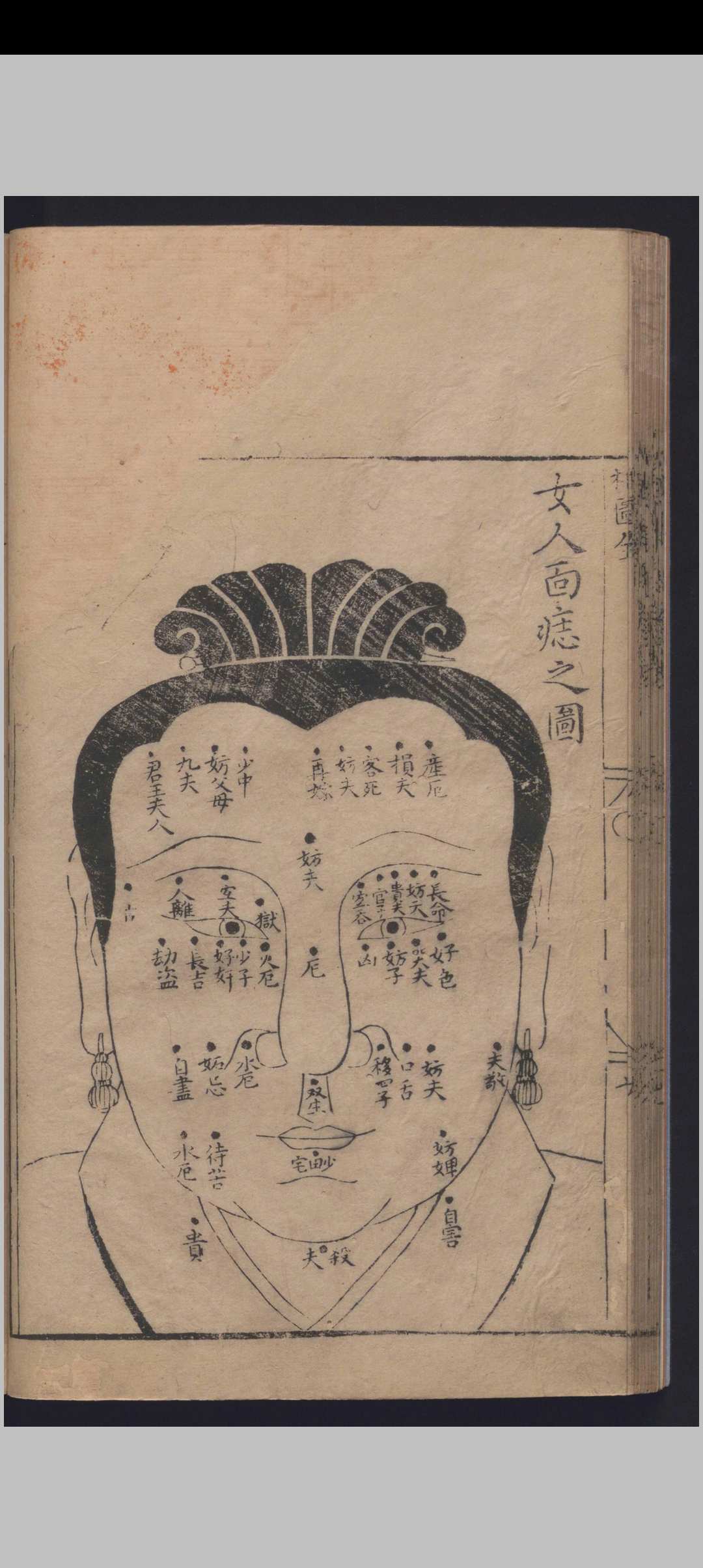 图片[5]中华古籍网-专注古书收集麻衣相中华古籍网-专注古书收集中华古籍网