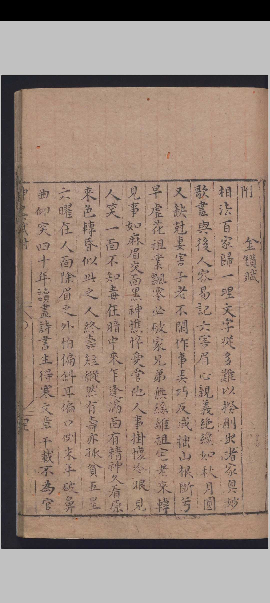 图片[14]中华古籍网-专注古书收集麻衣相中华古籍网-专注古书收集中华古籍网