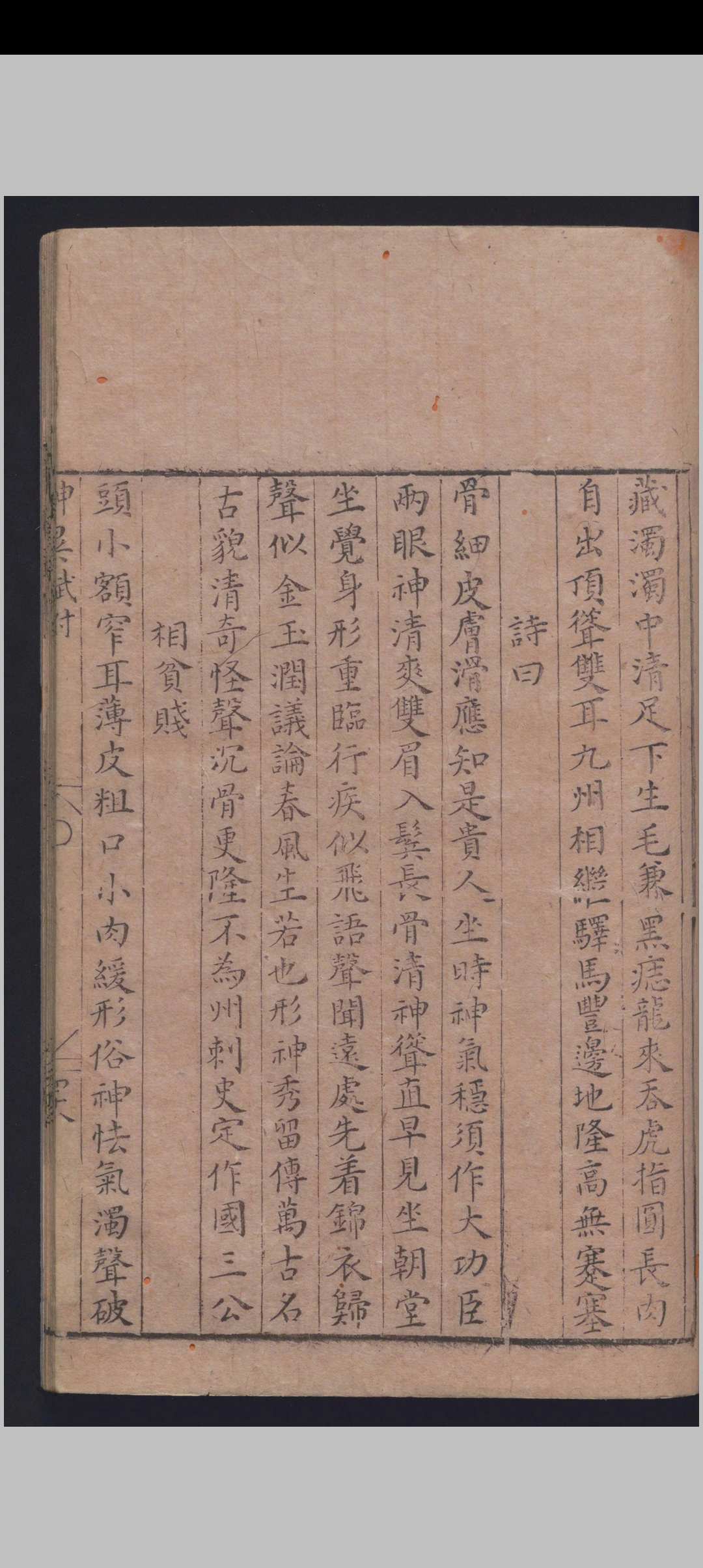 图片[17]中华古籍网-专注古书收集麻衣相中华古籍网-专注古书收集中华古籍网