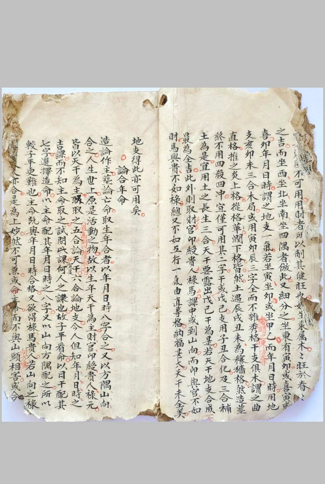 图片[6]-中华古籍网-专注古书收集选择撮要-中华古籍网-专注古书收集中华古籍网-专注古书收集