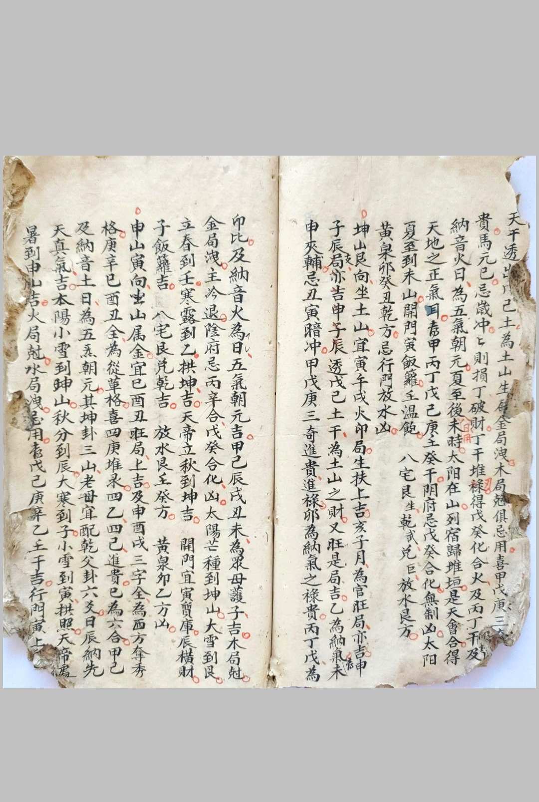 图片[8]-中华古籍网-专注古书收集选择撮要-中华古籍网-专注古书收集中华古籍网-专注古书收集