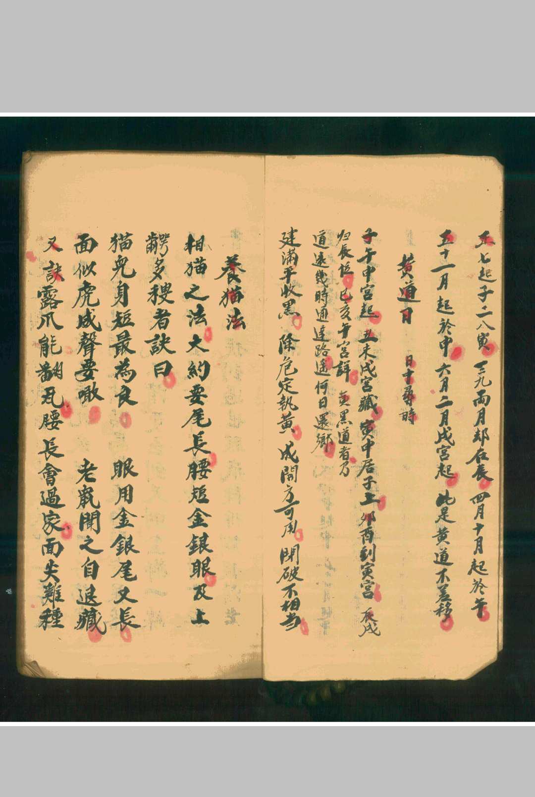 图片[3]-中华古籍网-专注古书收集推卜如神-中华古籍网-专注古书收集中华古籍网-专注古书收集