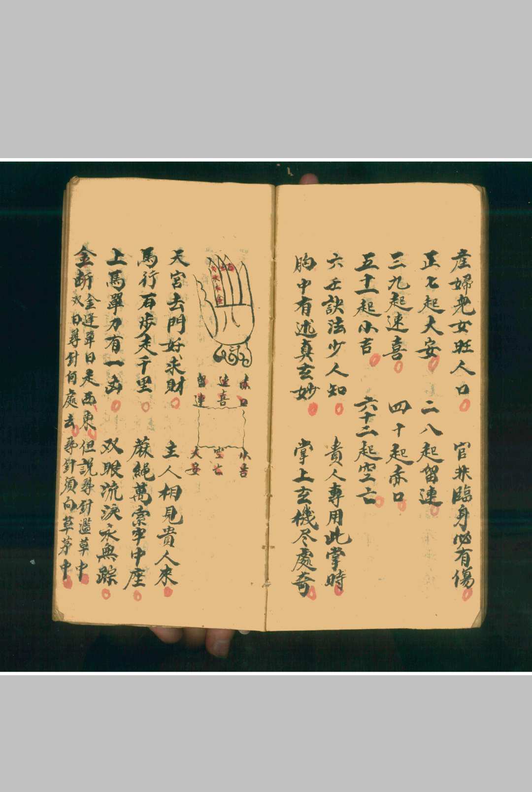 图片[16]-中华古籍网-专注古书收集推卜如神-中华古籍网-专注古书收集中华古籍网-专注古书收集