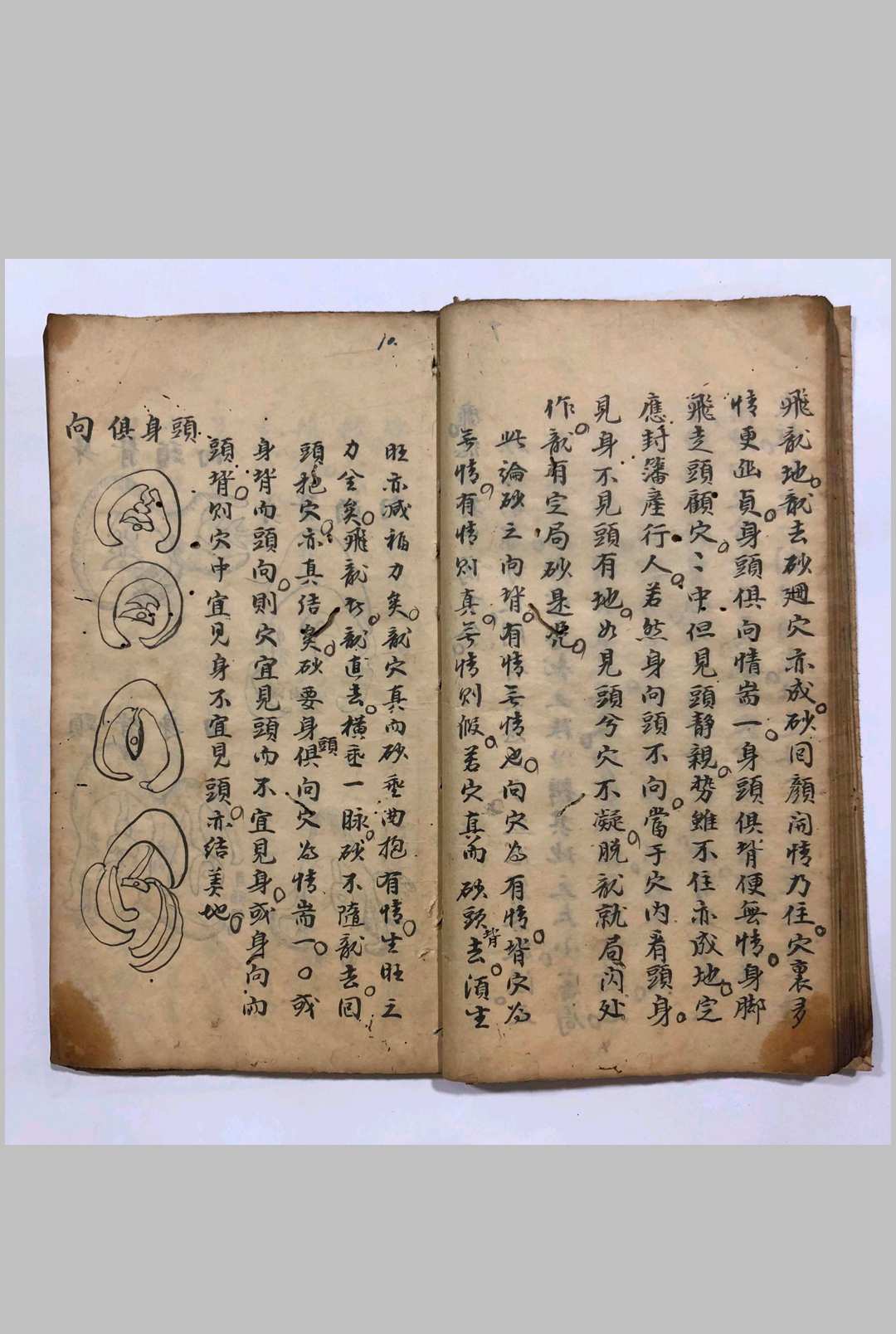 图片[14]-中华古籍网-专注古书收集十二天星杂抄-中华古籍网-专注古书收集中华古籍网-专注古书收集