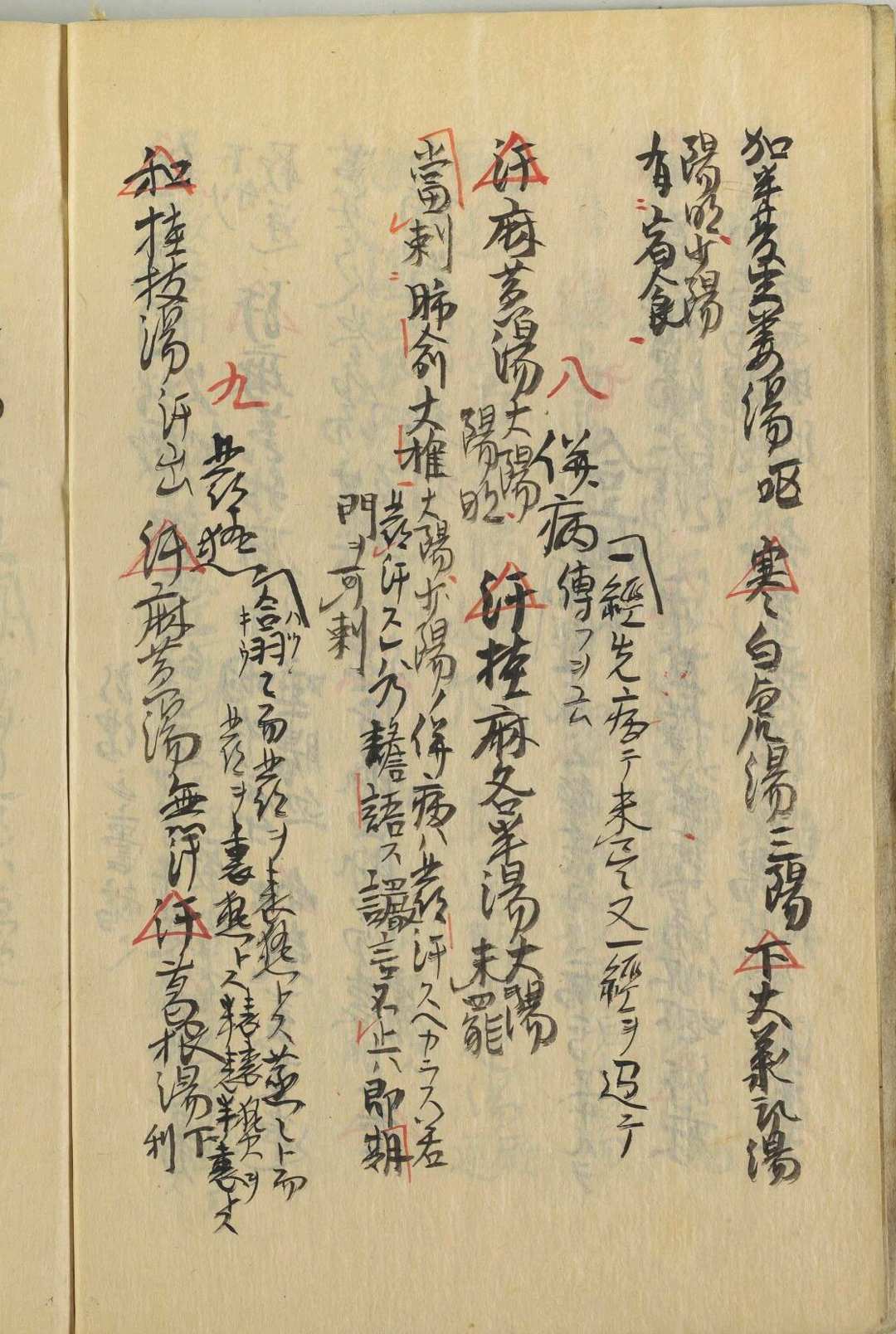 图片[5]-中华古籍网-专注古书收集金伤全书-中华古籍网-专注古书收集中华古籍网-专注古书收集