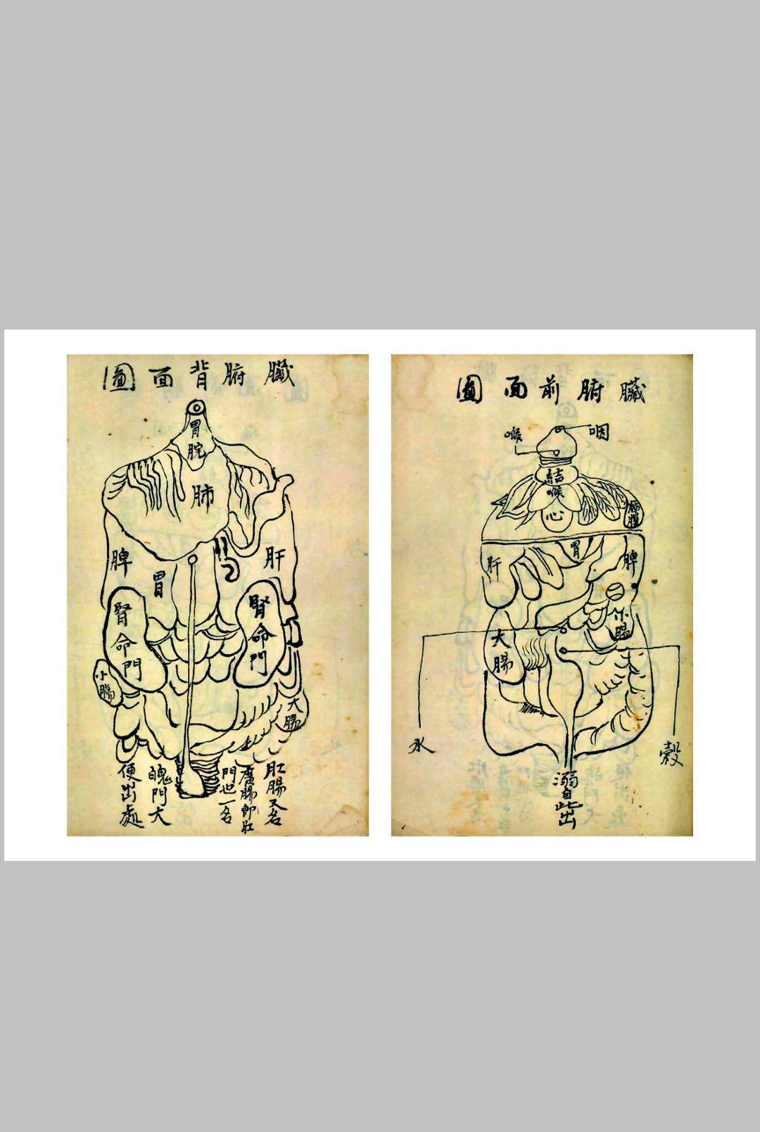 图片[7]-中华古籍网-专注古书收集太乙道医-中华古籍网-专注古书收集中华古籍网-专注古书收集