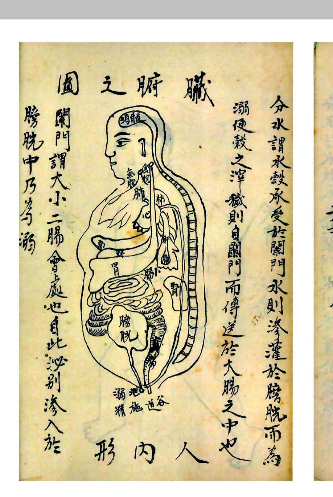 图片[4]-中华古籍网-专注古书收集太乙道医-中华古籍网-专注古书收集中华古籍网-专注古书收集