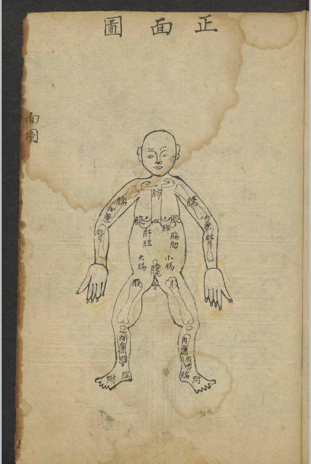 图片[5]-中华古籍网-专注古书收集集验良方 , 1864-中华古籍网-专注古书收集中华古籍网-专注古书收集